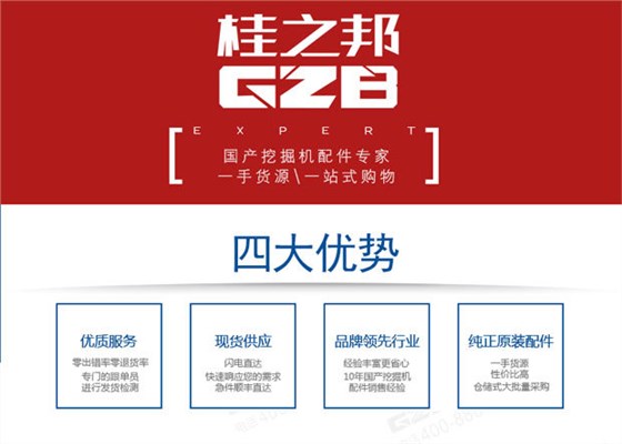 柳工挖掘機油門馬達