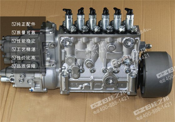 廈工挖掘機噴油泵