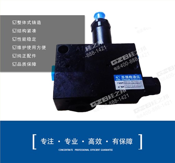 徐工挖掘機(jī)保持閥 徐工挖掘機(jī)保持閥