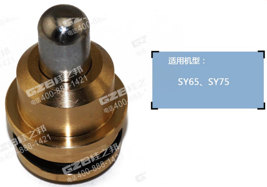 三一挖掘機(jī)SY75柱塞總成