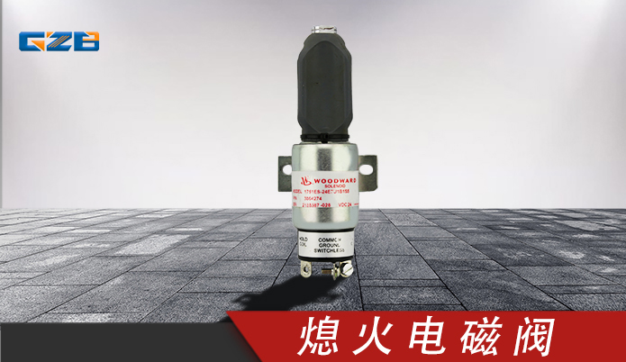 國機(jī)挖掘機(jī)配件 熄火電磁閥3864274 3864274